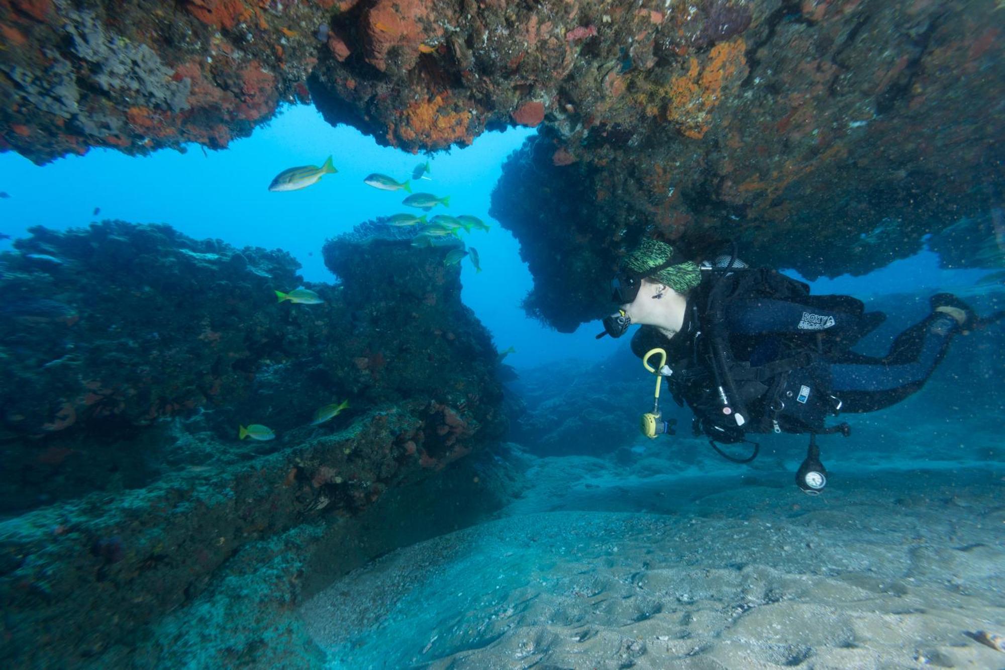 Sodwana Bay Lodge Dive & Fishing Resort Exterior photo